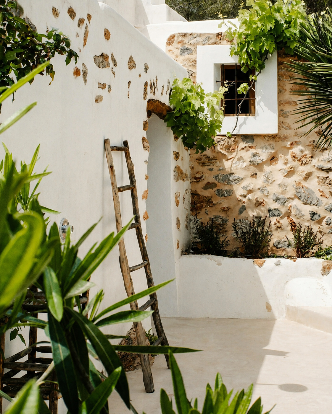 Mediterranean stone house with whitewashed walls, wooden ladder and green vines